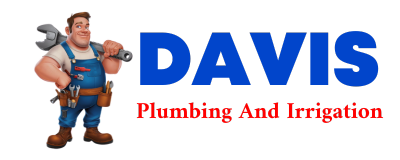 Trusted plumber in LA VETA